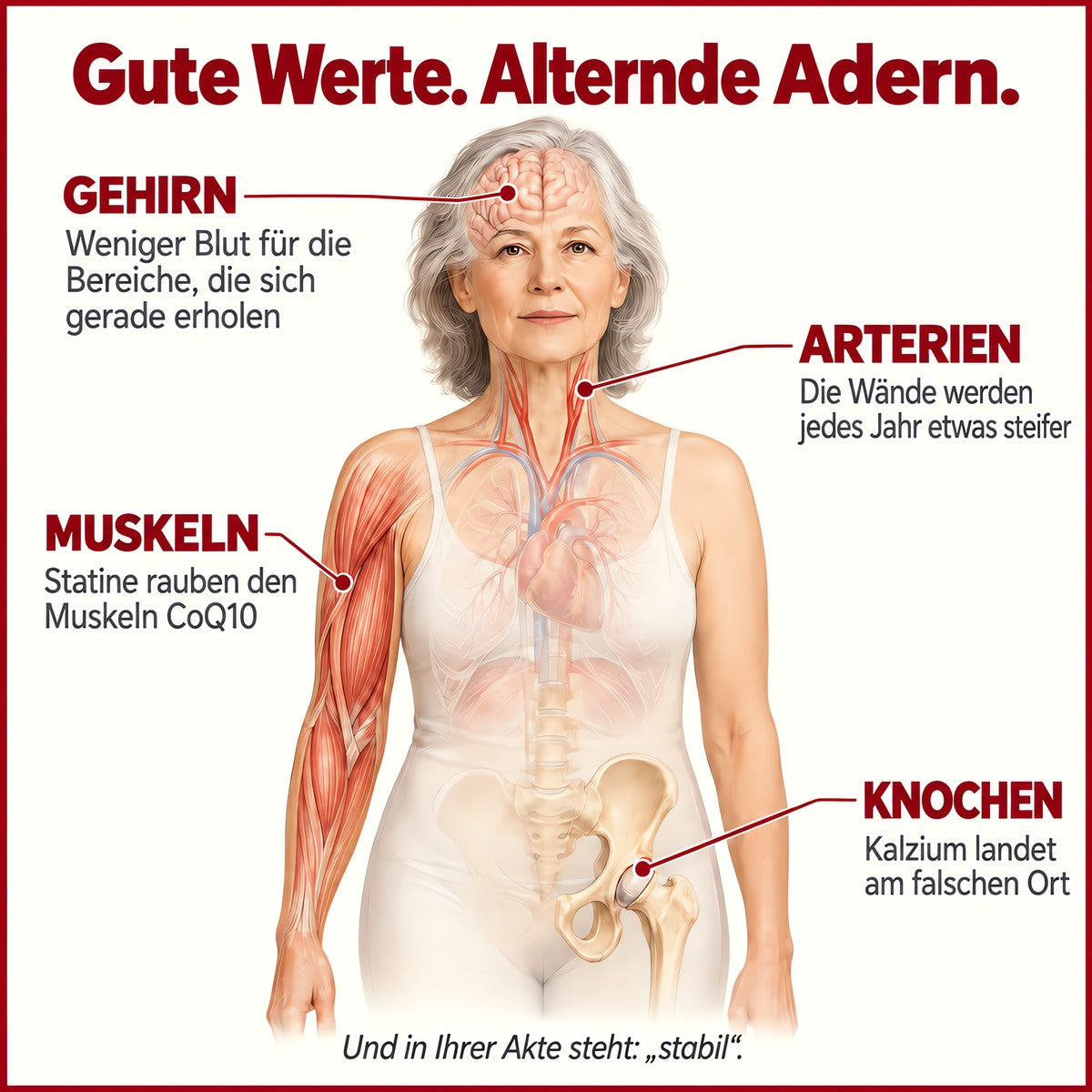 Gute Werte heißt nicht gesunde Adern
