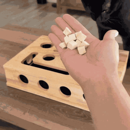 Kleine Kralle Box im Einsatz — Katze gräbt nach dem Leckerli